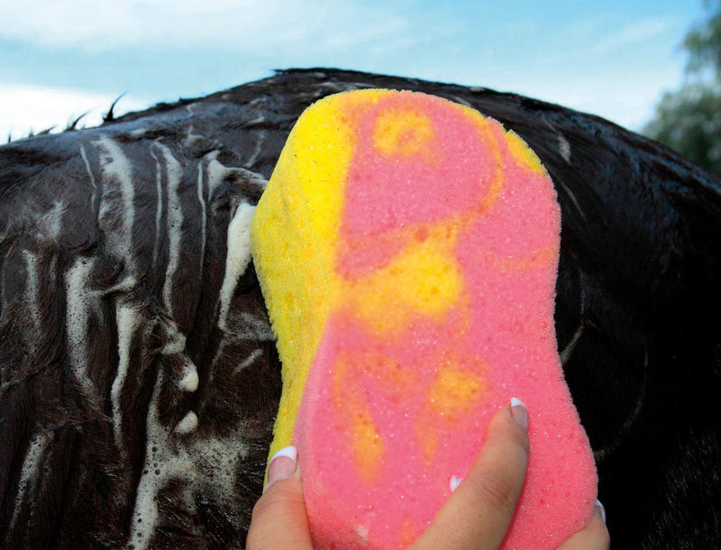 Tail Tamer Tie Dye Sponge