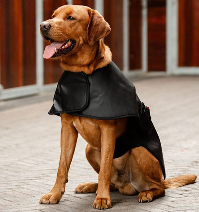 Horseware® LED Red Light Therapy Pet Coat