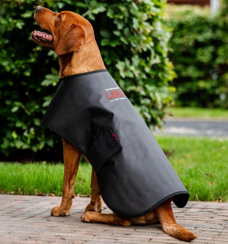 Horseware® LED Red Light Therapy Pet Coat
