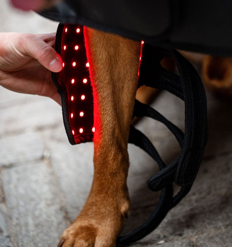 Horseware® LED Red Light Therapy Pet Leg Wrap