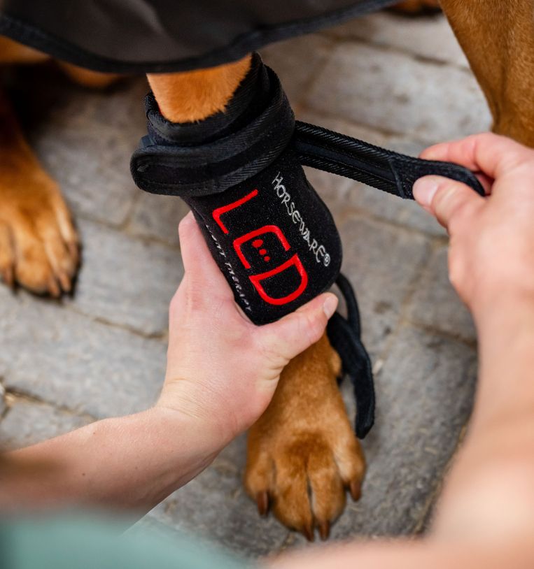 Horseware® LED Red Light Therapy Pet Leg Wrap