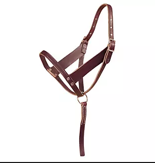 Tory Wide Cheek Foal Halter with Catch Strap