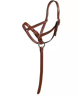 Tory Foal Slip Halter with Catch Strap