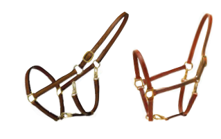 Tory Leather Grooming Halter