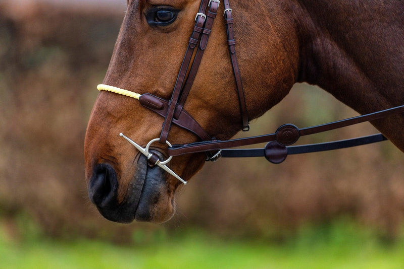 TRUST St. Gallen Rope Noseband Bridle