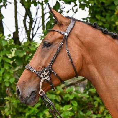 Jump'In Week Collection Hackamore Bridle