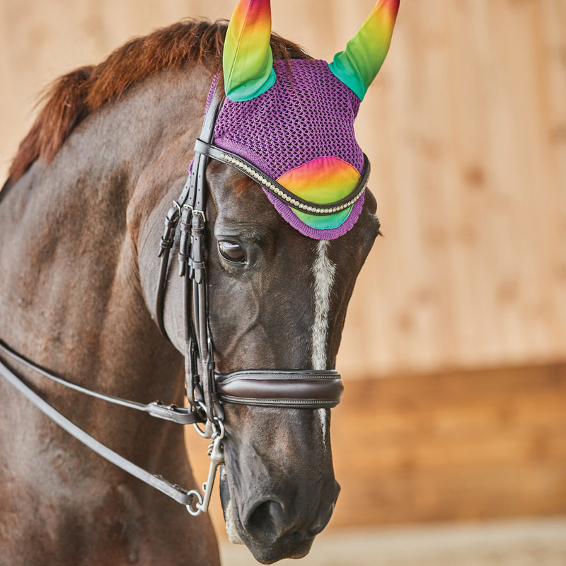 Weatherbeeta Prime Ombre Ear Bonnet