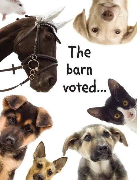 Birthday Card: the Barn Voted...(yes, You&