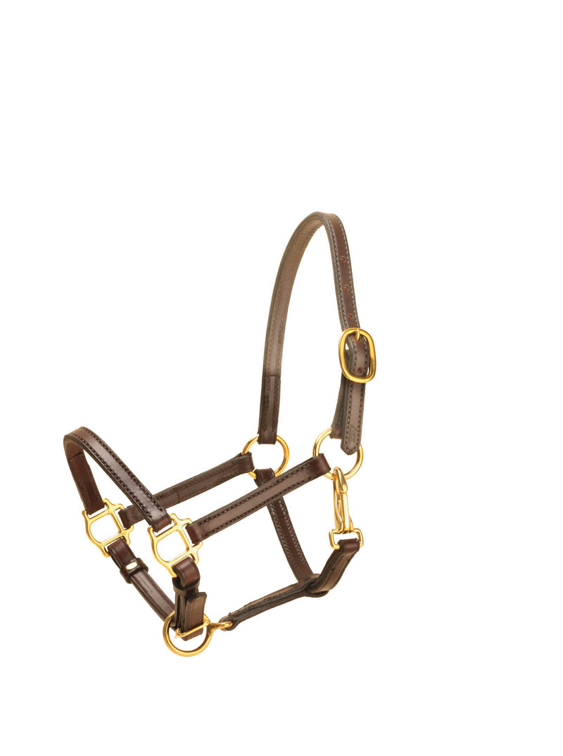 Tory Leather 5/8 in Weanling Halter