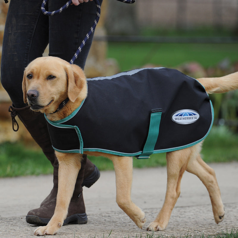 Weatherbeeta Green-Tec 900D Dog Coat Lite Plus Black/Bottle Green 10"