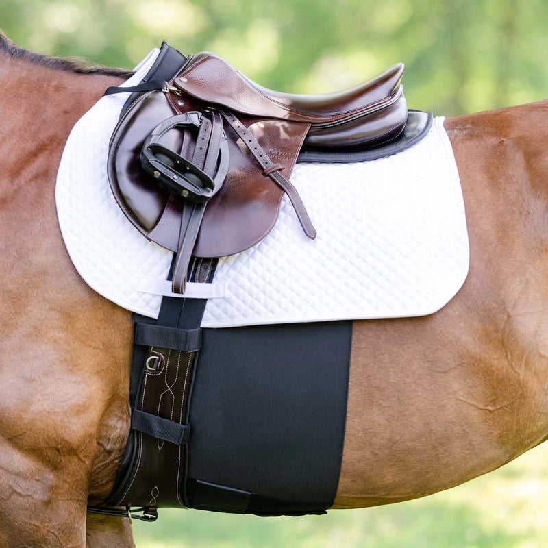 EquiFit Belly Band +
