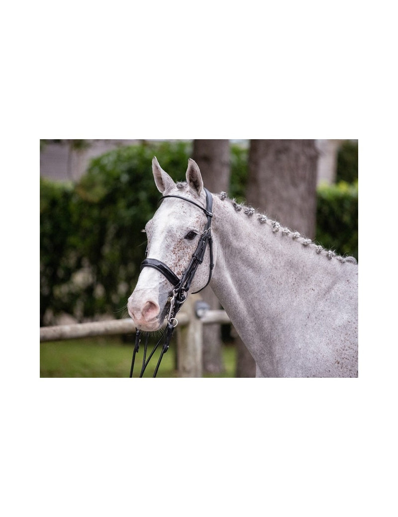 Jumpin Courchevel Double Bridle