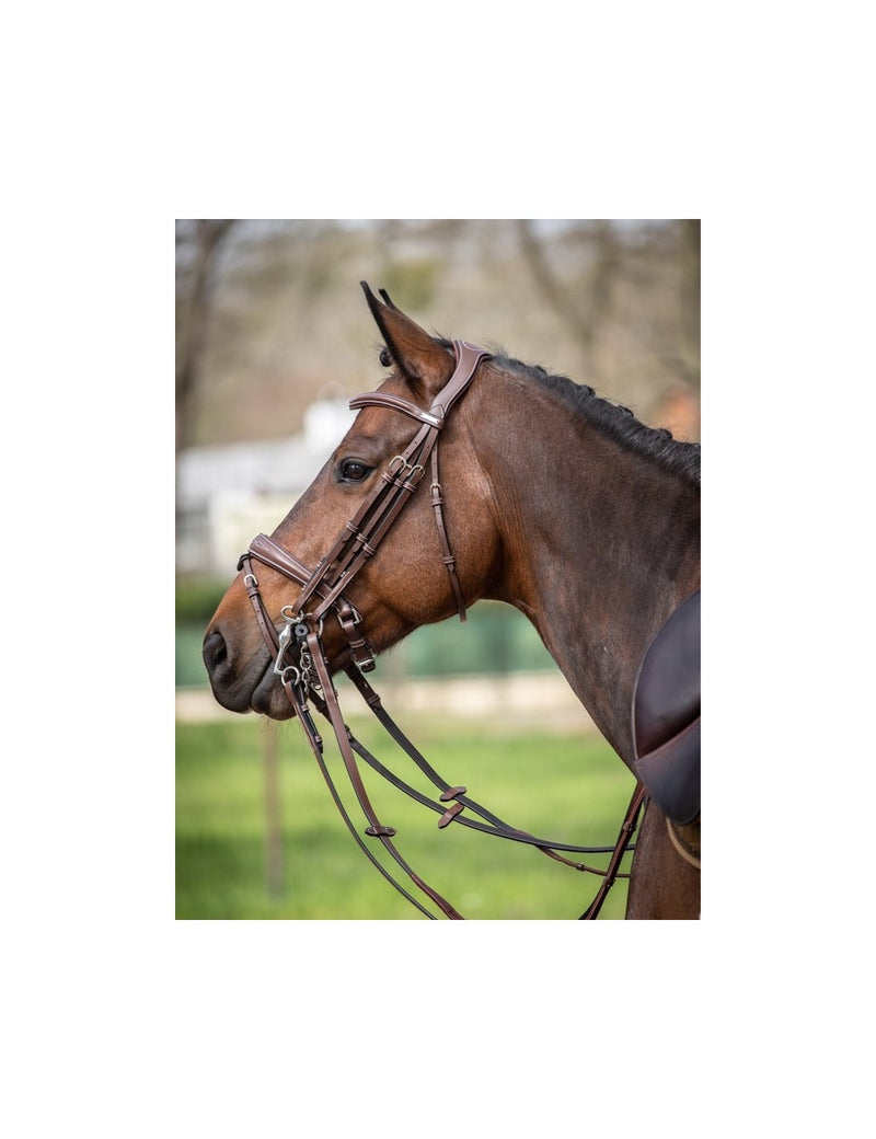 Jumpin Megève Double Bridle