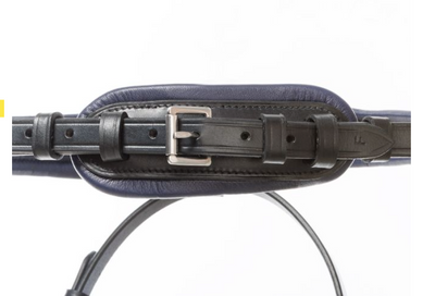 Kavalkade Ocean Flash Bridle