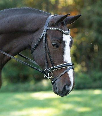 Red Barn Stride Dressage Bridle