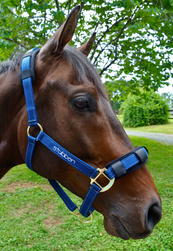 Stubben Reflective Stable Halter