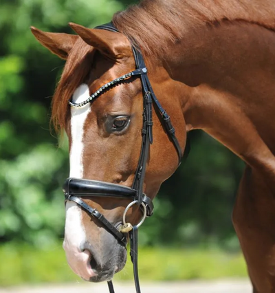 Kavalkade Grey Bridle with Reins