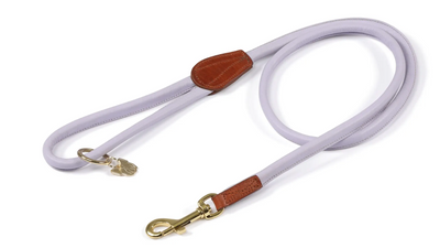 Digby & Fox Rolled Leather Dog Lead