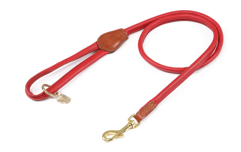 Digby & Fox Rolled Leather Dog Lead