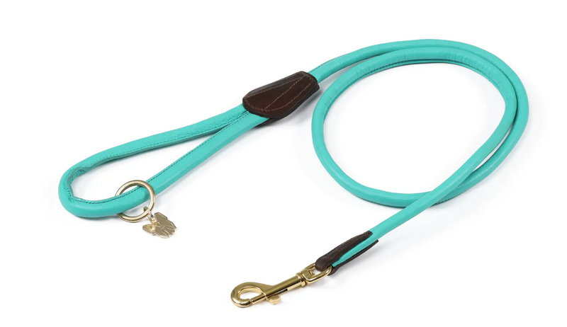 Digby & Fox Rolled Leather Dog Lead