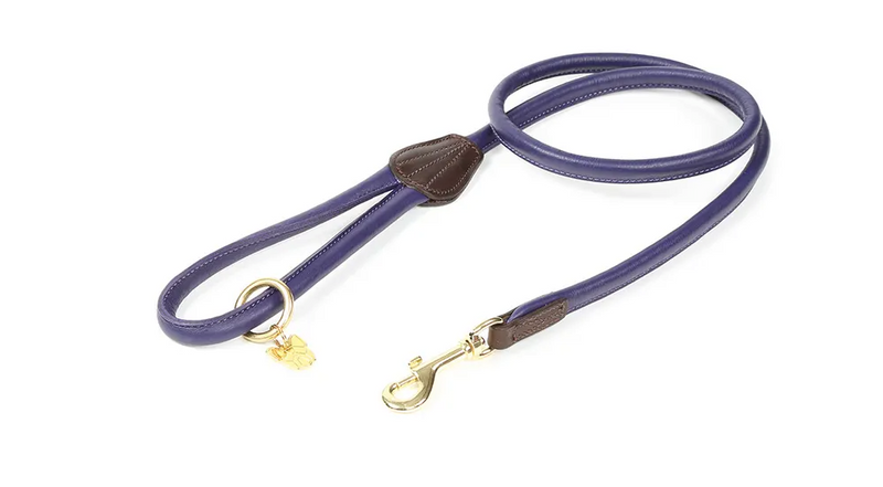 Digby & Fox Rolled Leather Dog Lead