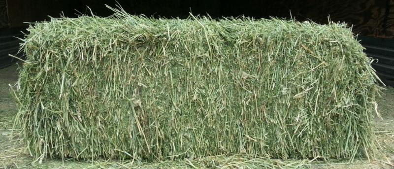 Western Hay