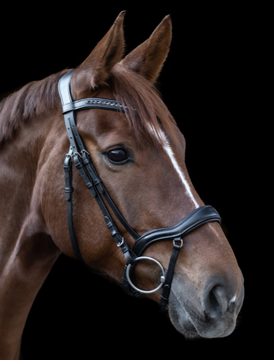 Waldhausen X Line II Bridle