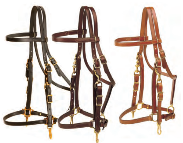 Tory Leather Halter/Bridle Combo