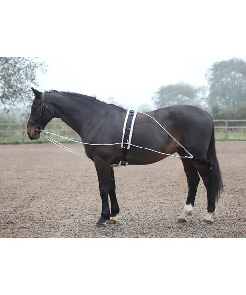 Shires Lunging Aid