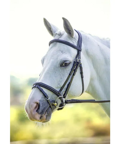 Shires Velociti Padded Raised Flash Bridle