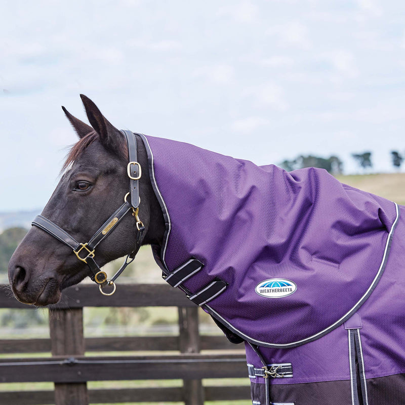 Weatherbeeta Comfitec Plus Dynamic Neck Rug Medium/Lite Purple/Black Small