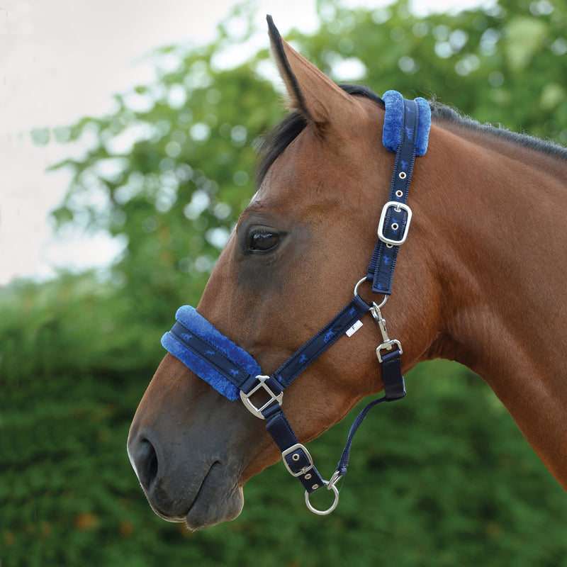 Saxon Fleece Lined Ribbon Headcollar Black/Black Pony