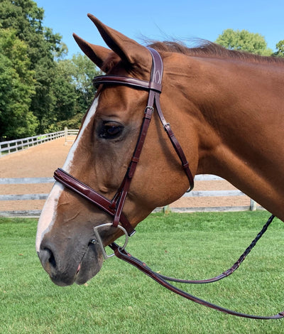 Red Barn Tuscany Padded Fancy Stitched Bridle