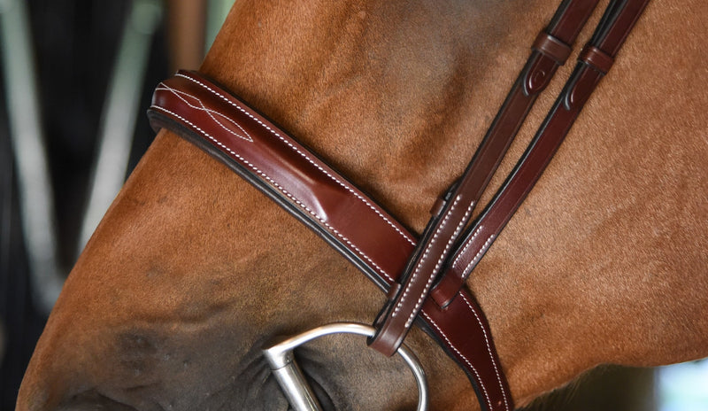 Red Barn Tuscany Padded Fancy Stitched Bridle
