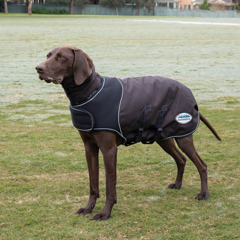 Weatherbeeta Comfitec Ultra Cozi Dog Coat Medium/Lite Charcoal/Blue/White 10"