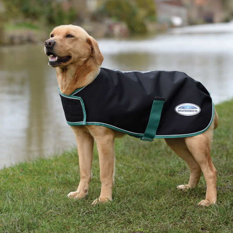 Weatherbeeta Green-Tec 900D Dog Coat Medium Black/Bottle Green 16"