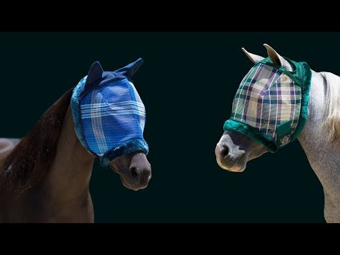 Kensington Mini & Pony Fly Mask with Fleece Trim & Dual Ear Openings