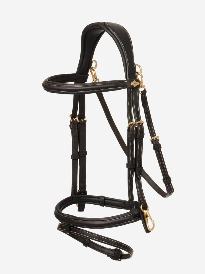 lm-bridles-brown-hr_720x.jpg?v