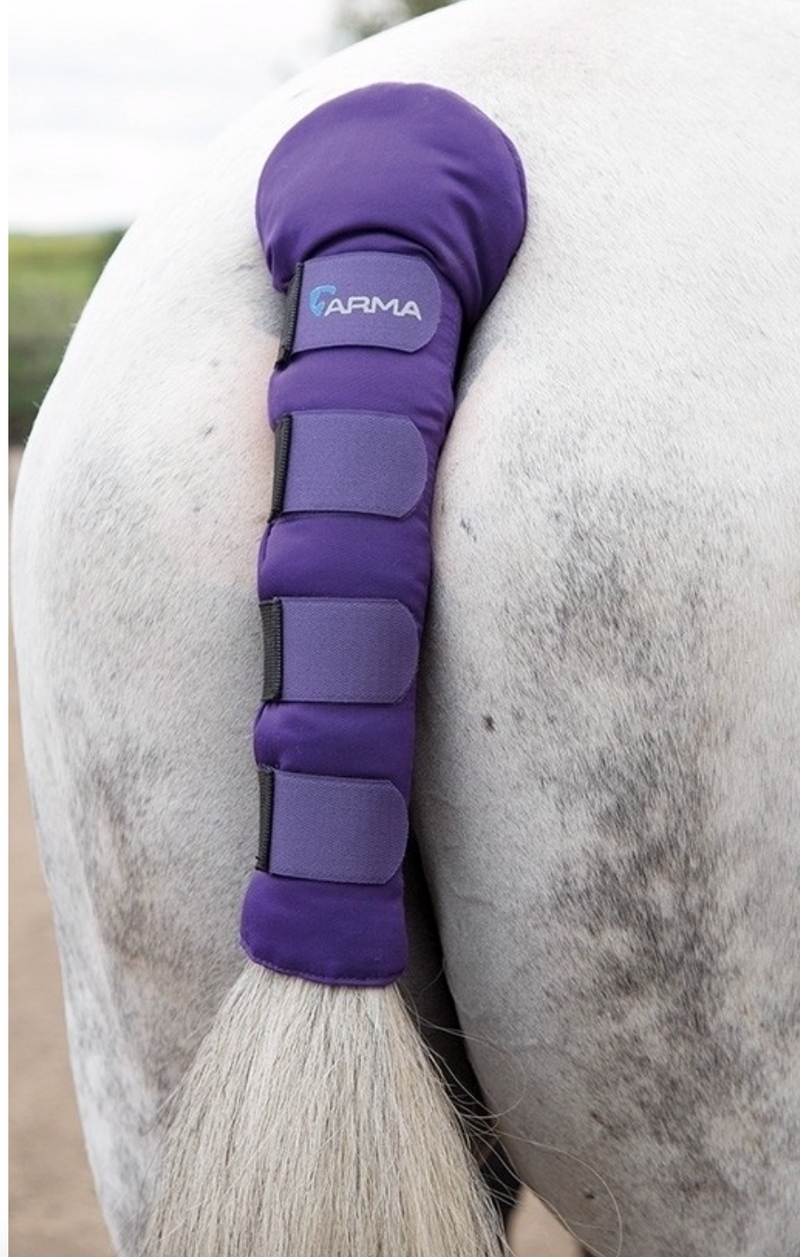 Shires ARMA Padded Tail Guard