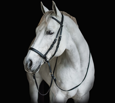 Dr. Cook English Leather Bitless Bridle
