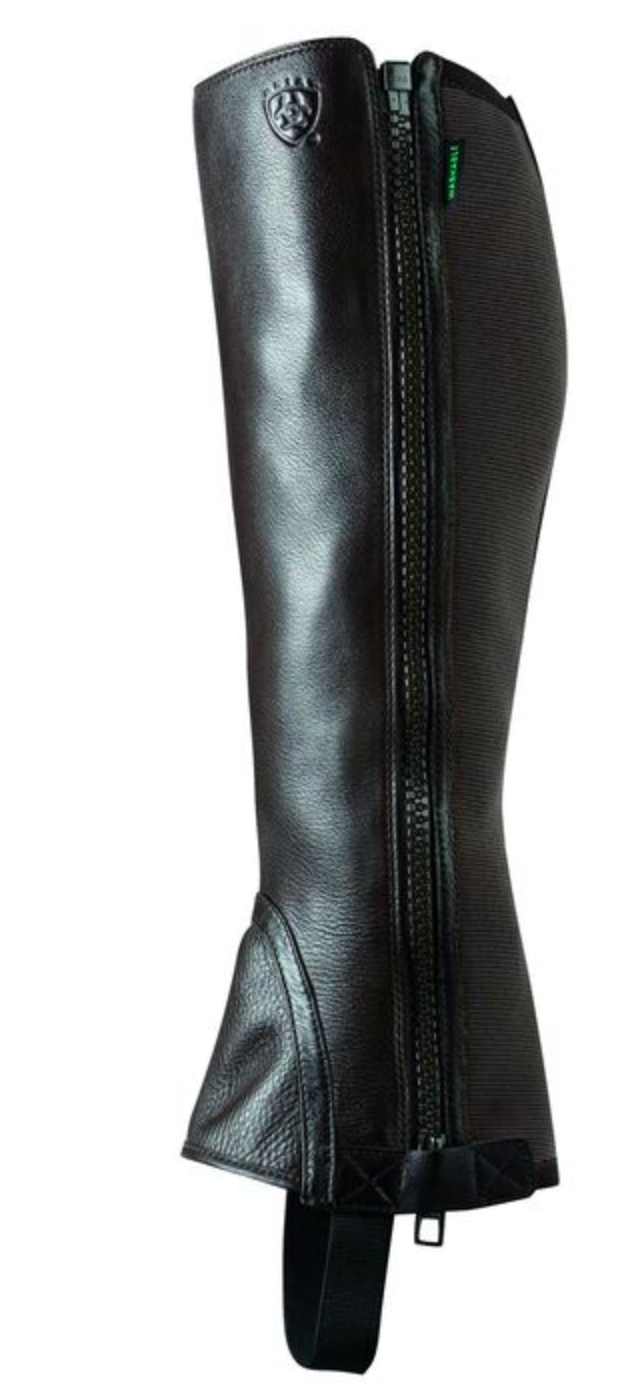 Ariat breeze sales half chaps