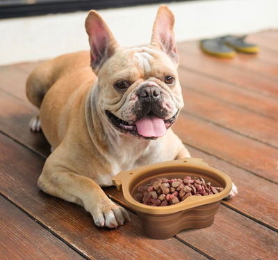 Howligans Collapsible Dog Bowl