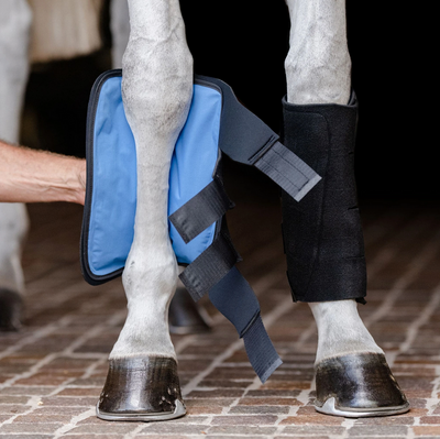 EquiFit Essential Cold Therapy Tendon Boot (Pair)