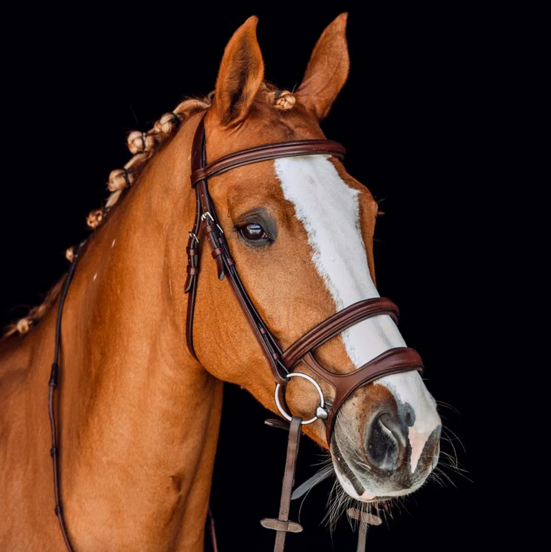Horze Perth Soft Lined Anatomical Bridle