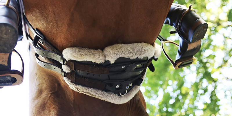 Stubben Equi-Soft Girth (Top Only)