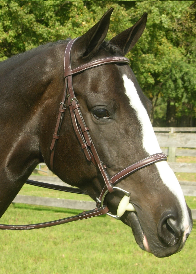 Red Barn Sovereign Fancy Stitched Bridle