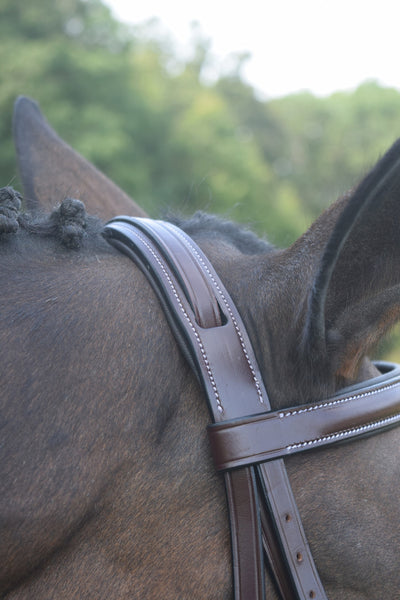 Red Barn Spirit Bridle