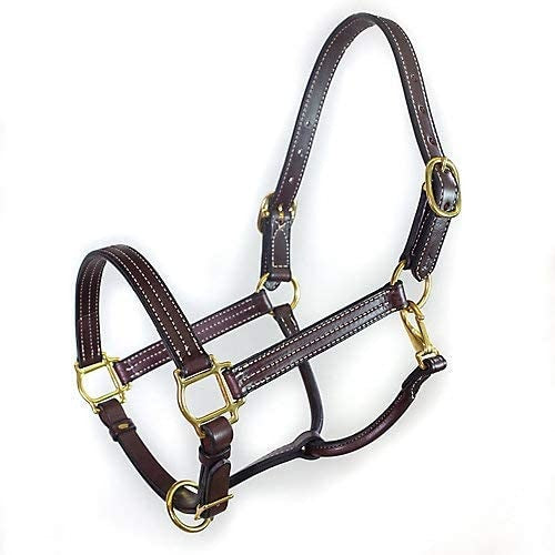 Tory Traditional 1" Deluxe Halter